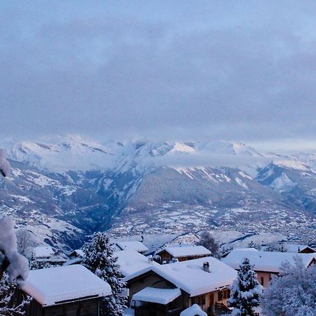 Pracondu OUTDOOR&FUN appartement 2 chambres supérieur avec Balcon Nendaz Esterno foto