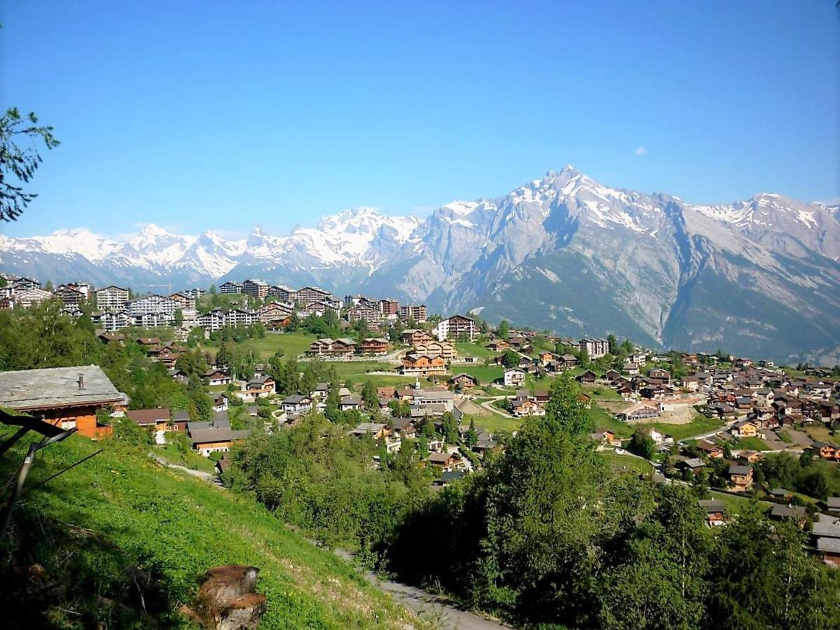 Pracondu OUTDOOR&FUN appartement 2 chambres supérieur avec Balcon Nendaz Esterno foto