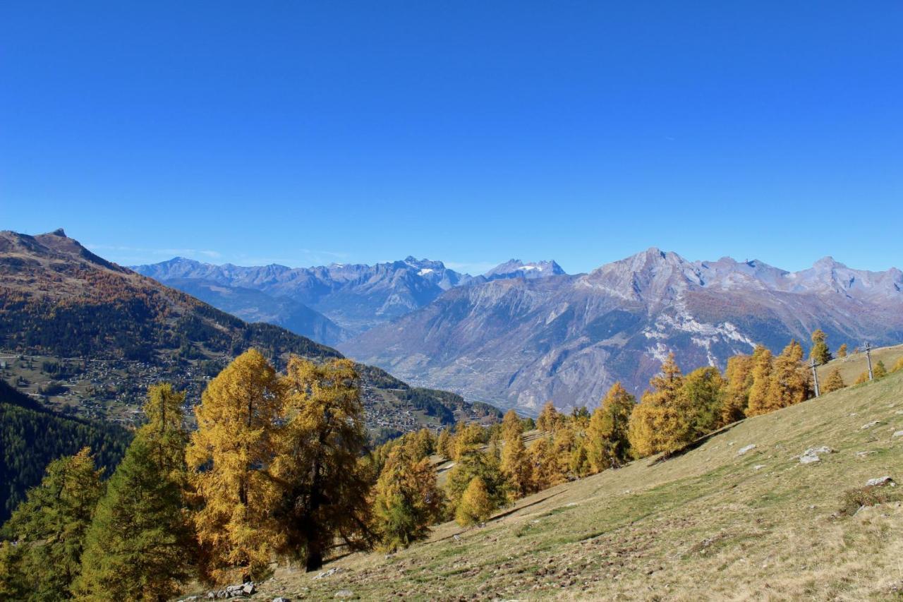 Pracondu OUTDOOR&FUN appartement 2 chambres supérieur avec Balcon Nendaz Esterno foto