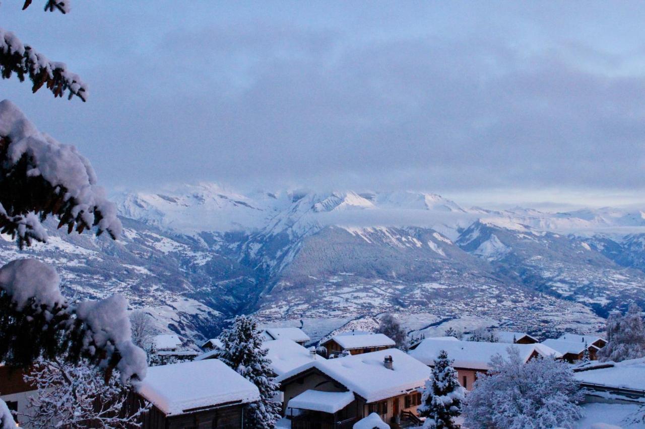 Pracondu OUTDOOR&FUN appartement 2 chambres supérieur avec Balcon Nendaz Esterno foto
